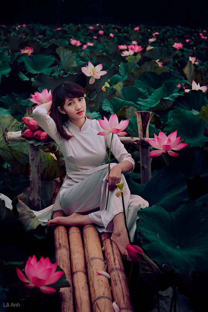 性感的女秘书